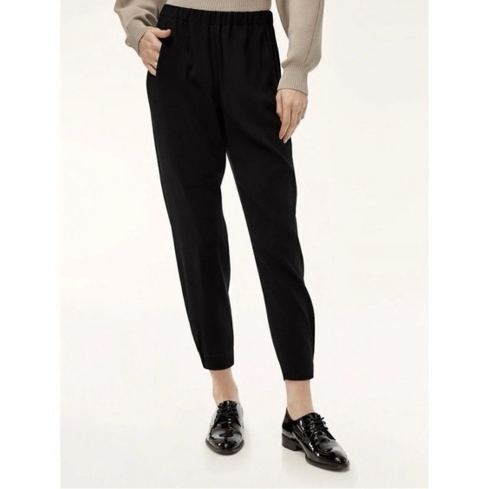 Aritzia babaton dexter linen blend tapered pant black